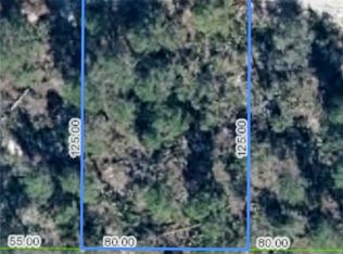 556 Parakeet Ave, Sebring, FL 33872