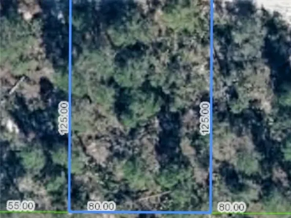 556 Parakeet Ave, Sebring, FL 33872
