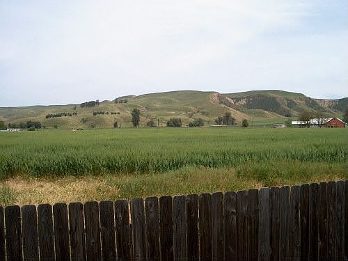 View of Hills from bk yard