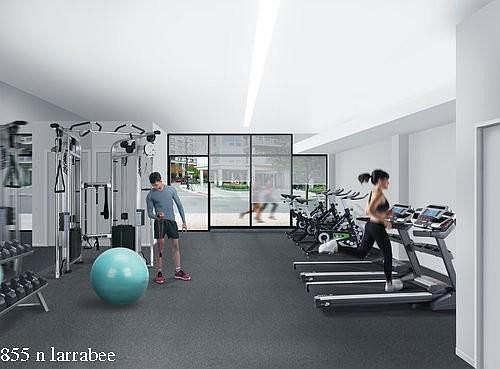 5th image of 855 N Larrabee St #1221