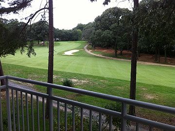 Beautiful view of the golf course