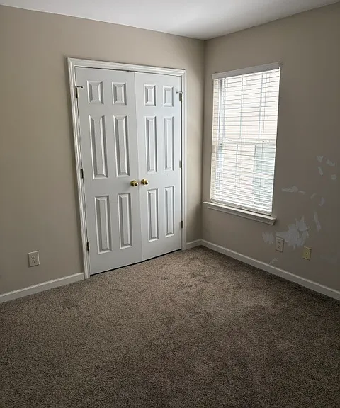 107 Lismore Park Dr — Photo 26