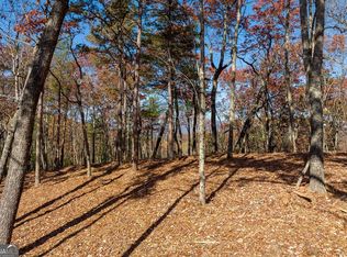 40 Preserve Trl, Ellijay, GA 30536