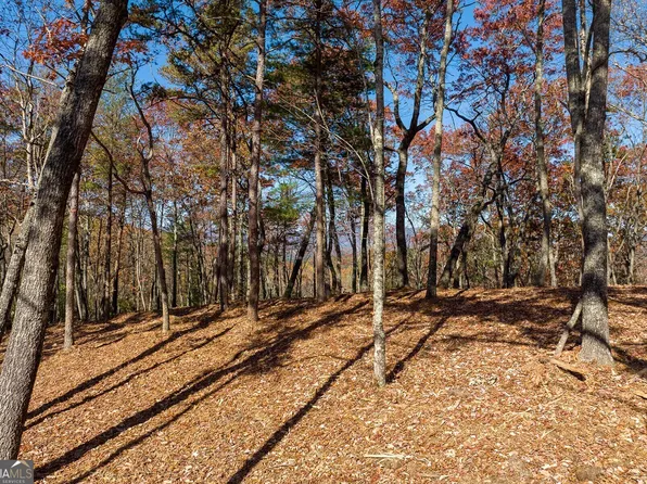 40 Preserve Trl, Ellijay, GA 30536