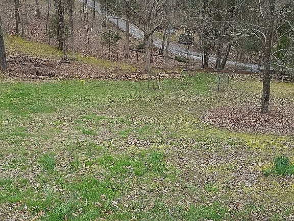 4th image of 1134 Shine Ln