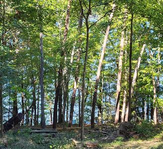 15003 May Rd, Sale Creek, TN, 37373