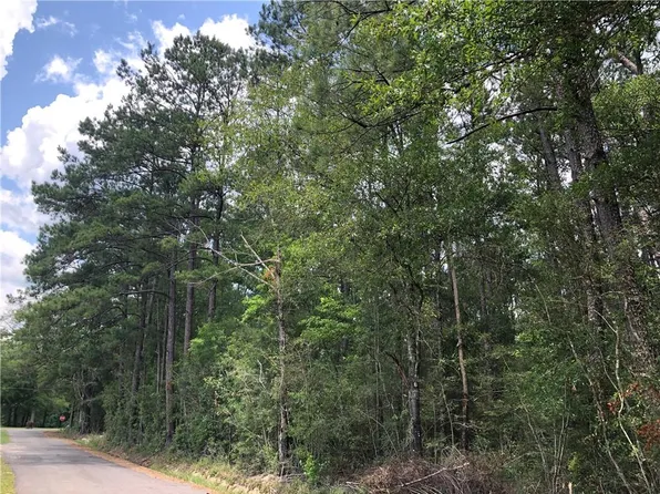 Rayford Seals And Rj Cheramie Rd, Bogalusa, LA 70427