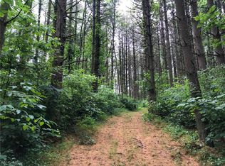 E Branch Rd, Lowell, OH 45744