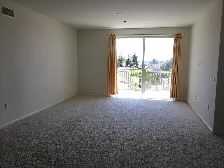 49002 Cinnamon Fern Cmn #528 — Photo 2