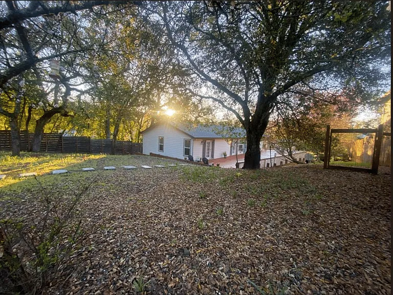 Large Backyard with Ancient Oak and Apricot Trees, Glowing in the Early Dawn Light