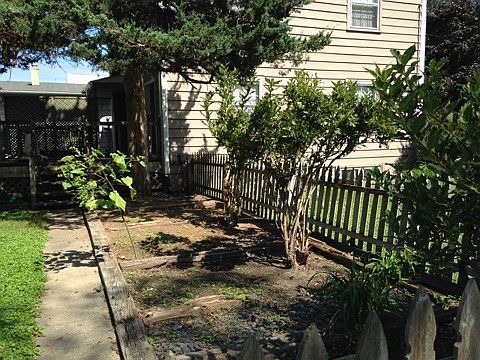 Planting beds in back