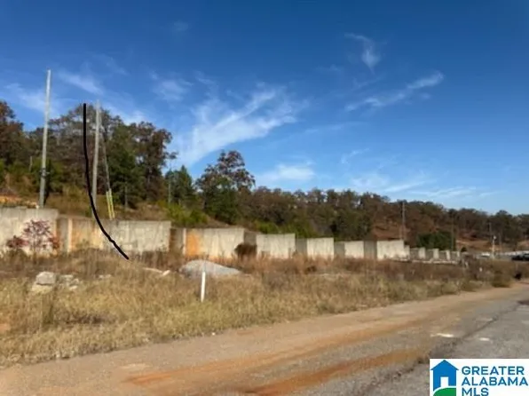 1110 Ranch Marina Rd Lot 6, Pell City, AL 35128