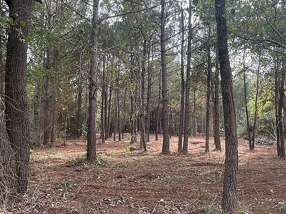 5th image of 21817 County Road 2160