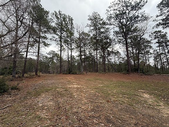 4th image of 0 Black Squirrel Rd E