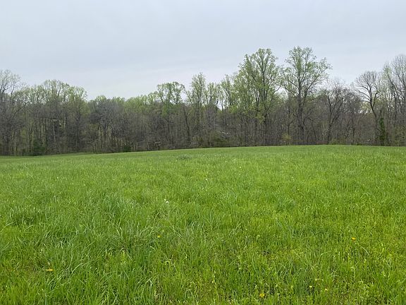 3rd image of 5175 Clay County Hwy