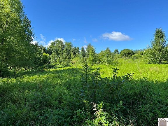 5th image of 8325 John Steele Rd