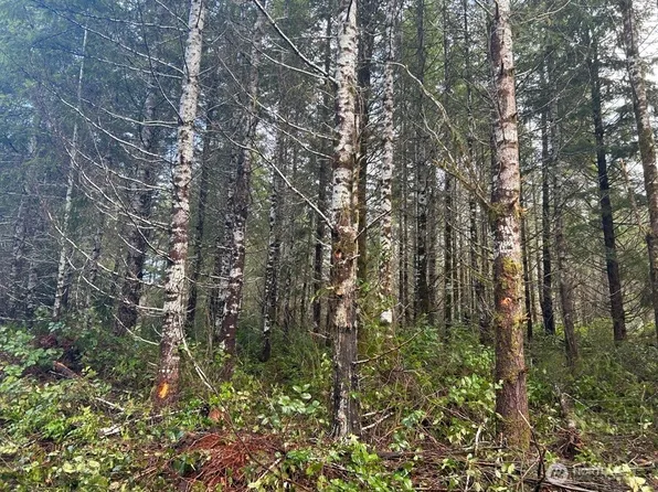 (undisclosed Address), Shelton, WA 98584