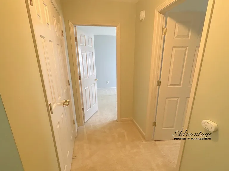 1197 Scarlet Tanager Ln — Photo 19