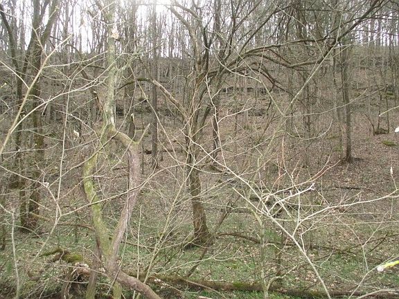 4th image of 0 Rogues Fork Rd