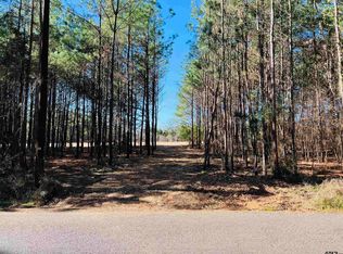 LOT 2 Evergreen St, Palestine, TX 75803