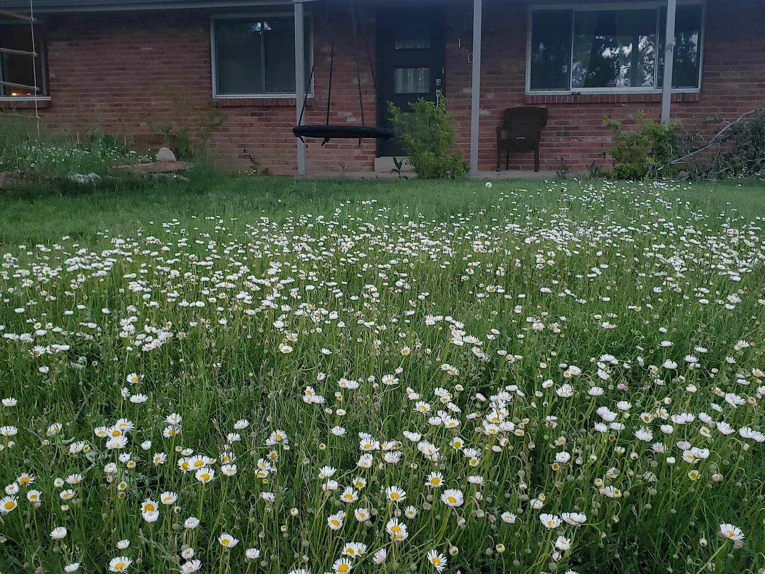 3 bed, 2520 sqft, $3,800 — Photo 1