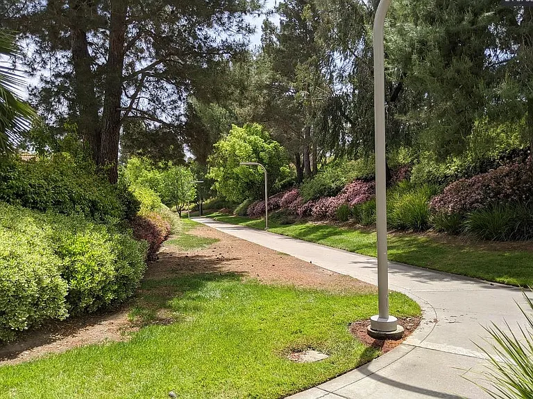 43145 Corte Cabrera — Photo 10