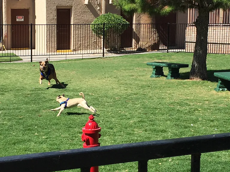 La Estancia Apartments — Photo 13