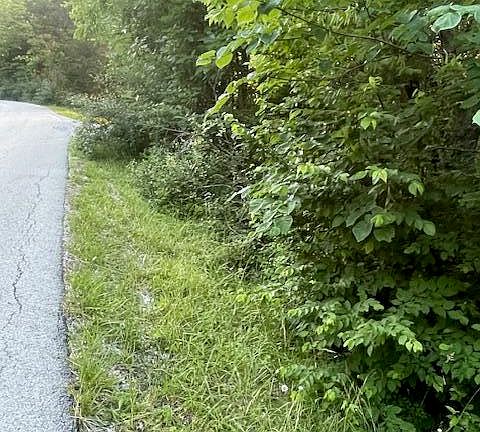 3rd image of Buckeye Hills Rd