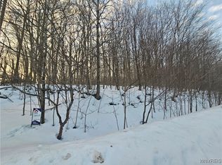 Dublin Terrace Rd #11, Salamanca, NY 14779