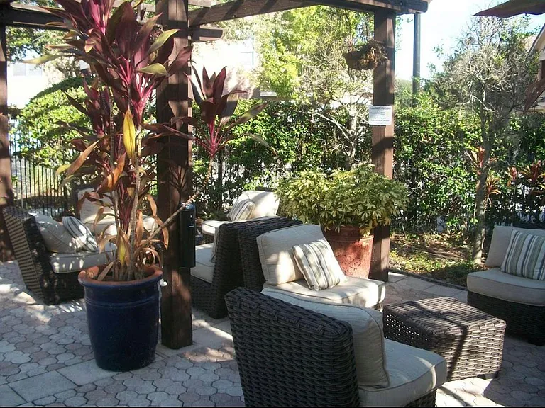 Tropical pool deck area