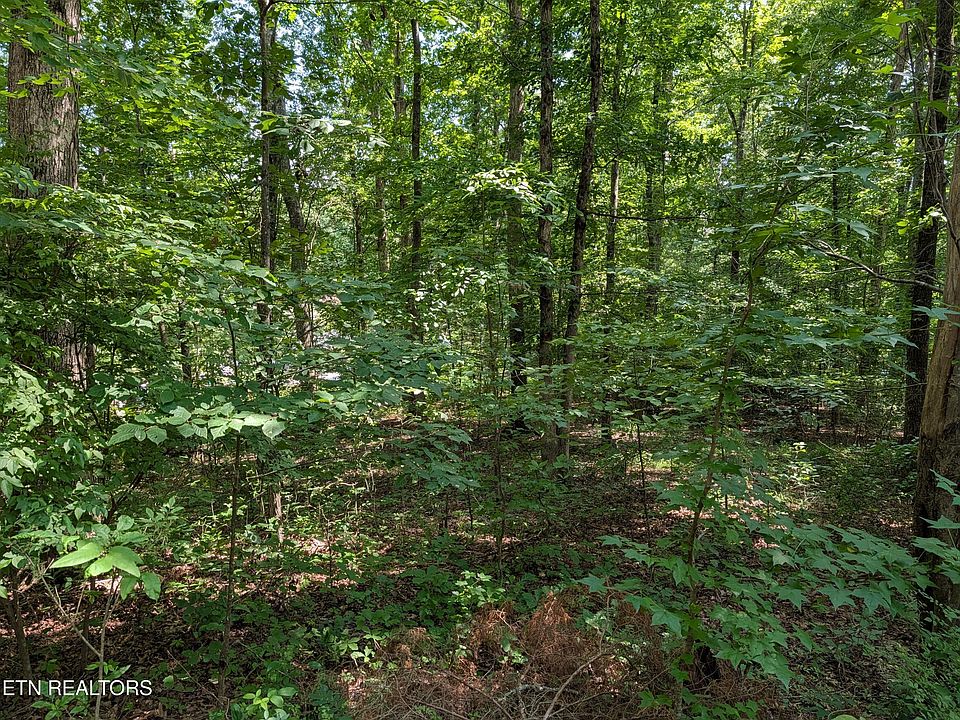 1st image of White St #31