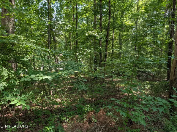 White St #31, Rockwood, TN 37854