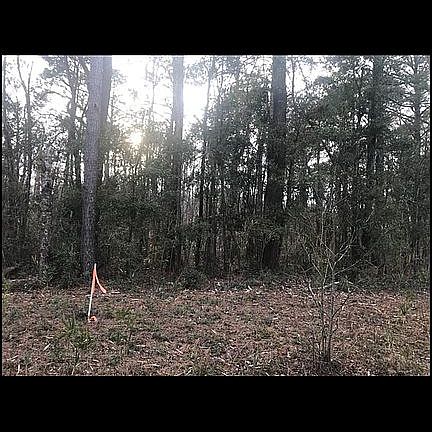 2nd image of 2406 Circle Dr SW