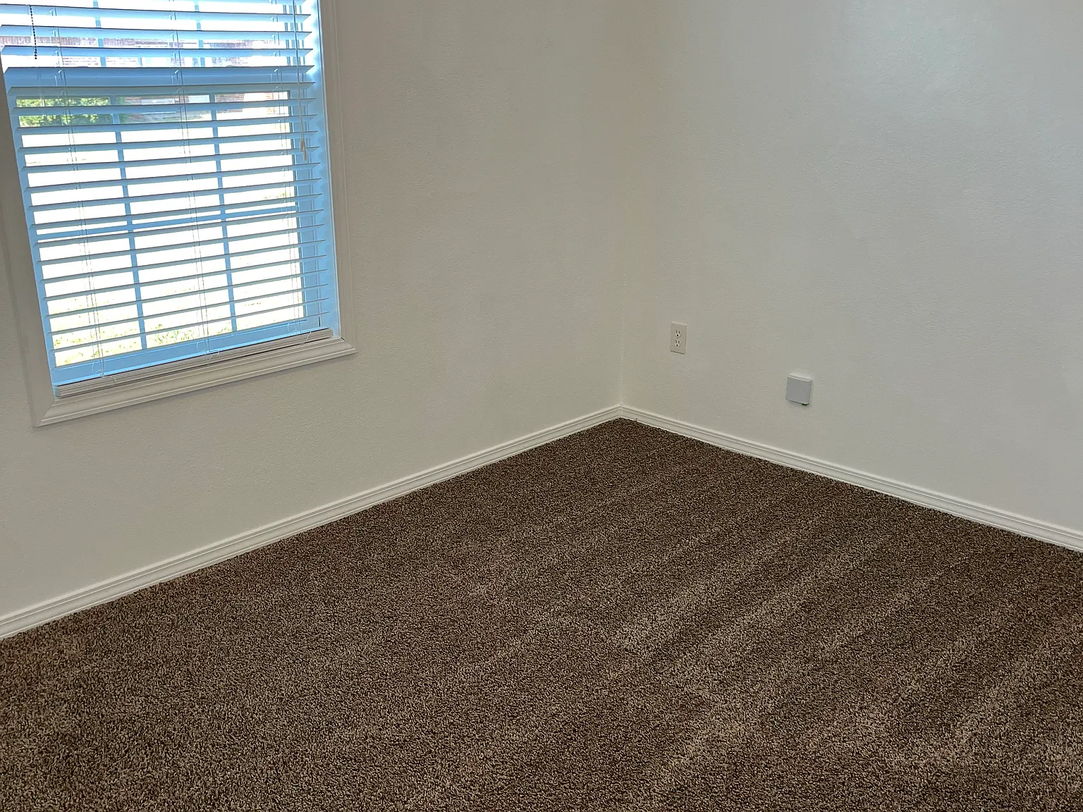 3 bed, $1,300 — Photo 3