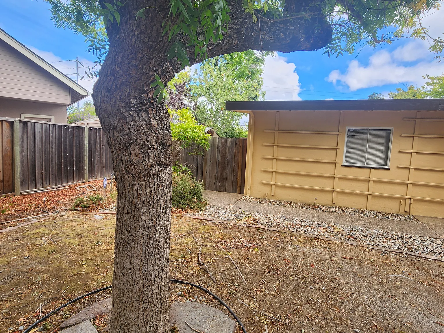 3 bed, 1130 sqft, $5,500 — Photo 4