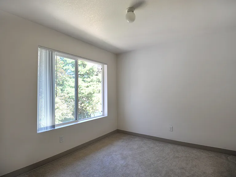 Emerald Pointe — Photo 20