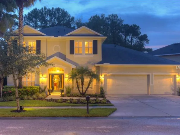 16120 Colchester Palms Dr, Tampa, FL 33647