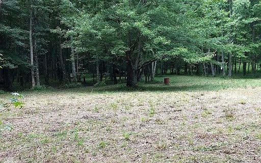 1st image of Cold Springs Ln