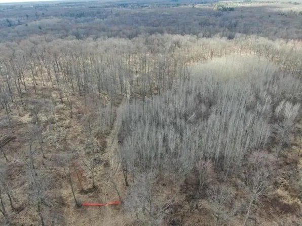 75 AC Maple Road, Granton, WI 54436