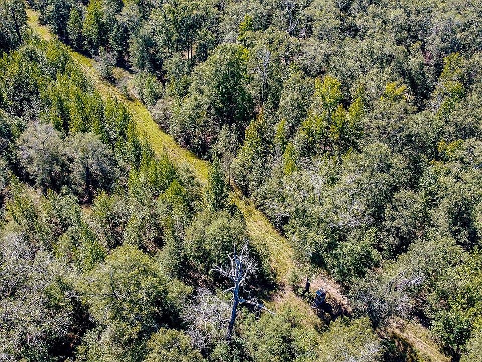 Compass South Land Sales Louisiana Frank Lapere Creek 2 1