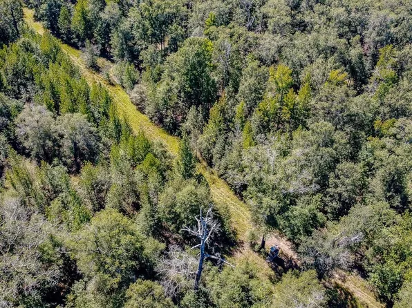 0 Riley Trestle Rd, Marion, LA 71260