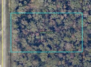 10610 Stycket Ave, Hastings, FL 32145