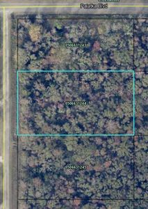 10610 Stycket Ave, Hastings, FL, 32145