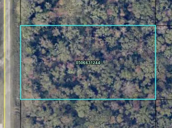 10610 Stycket Ave, Hastings, FL 32145