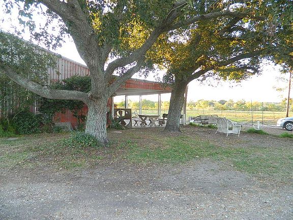 Oaks provide a shady area for sitting in the evening.