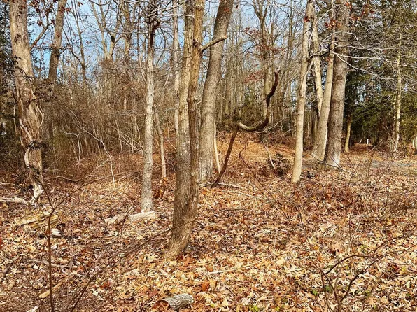 917 Spruce Ave, Milford, DE 19963