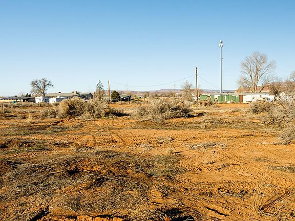 5th image of Manzanita