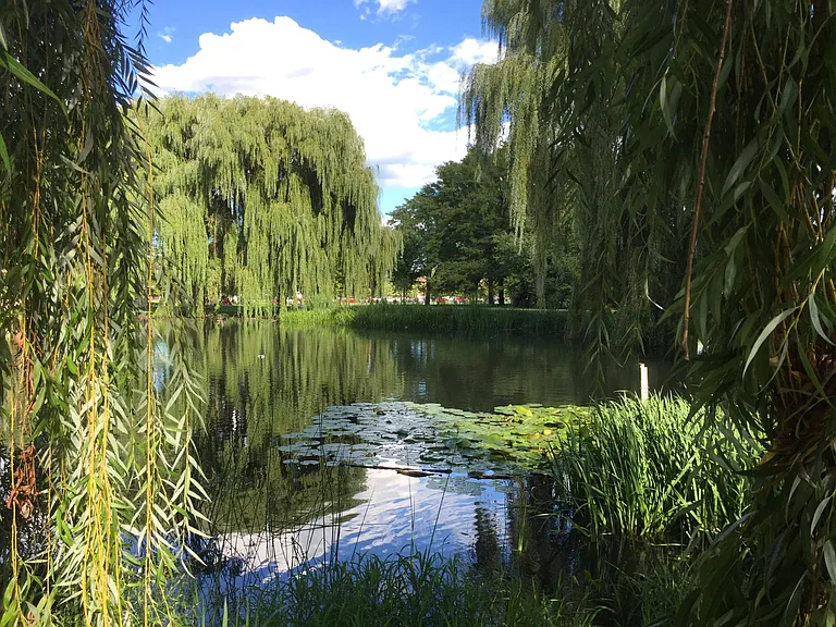 Nearby Douglass Park features beautiful lagoons and waterfowl.