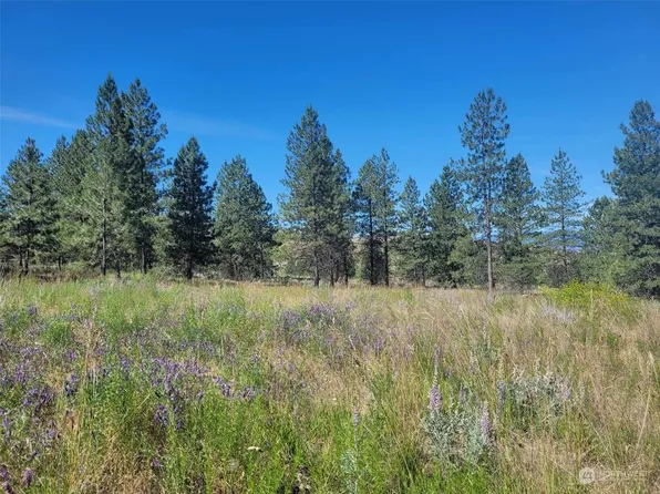 0 TBD Rehmke Road, Tonasket, WA 98855