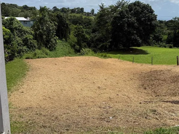 Bo Tejas, Yabucoa, PR 00767